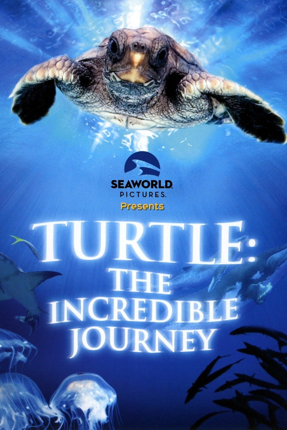 Постер Turtle: The Incredible Journey